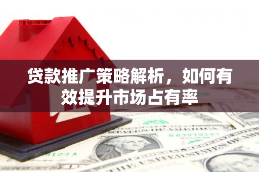 漳州贷款推广策略解析，如何有效提升市场占有率