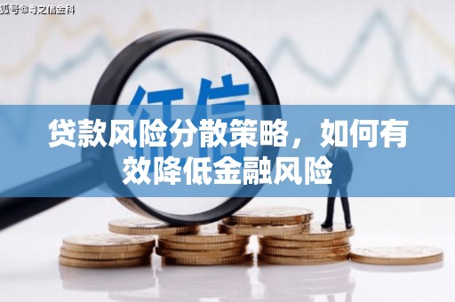漳州贷款风险分散策略，如何有效降低金融风险