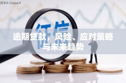 漳州逾期贷款，风险、应对策略与未来趋势