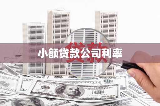 漳州小额贷款公司利率