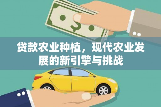 漳州贷款农业种植，现代农业发展的新引擎与挑战
