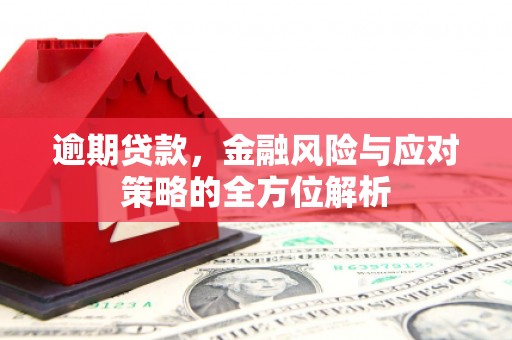 漳州逾期贷款，金融风险与应对策略的全方位解析