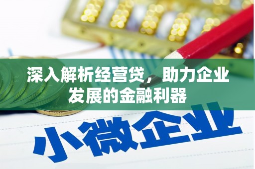 漳州深入解析经营贷，助力企业发展的金融利器