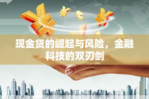 漳州现金贷的崛起与风险，金融科技的双刃剑
