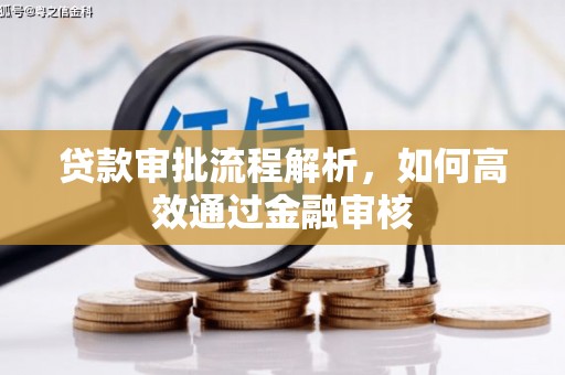 漳州贷款审批流程解析，如何高效通过金融审核