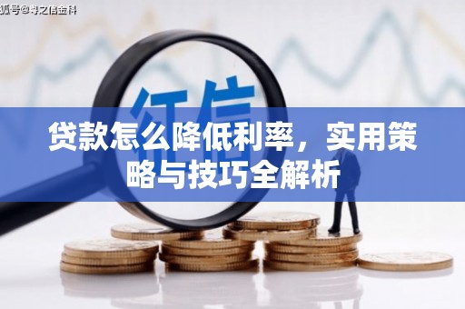 漳州贷款怎么降低利率，实用策略与技巧全解析