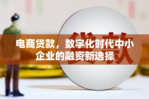 漳州电商贷款，数字化时代中小企业的融资新选择