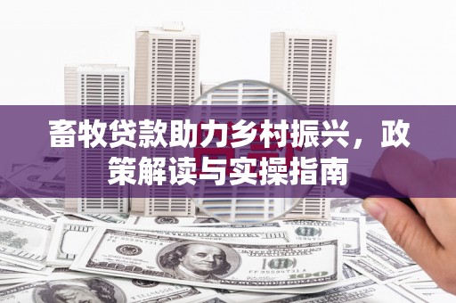 漳州畜牧贷款助力乡村振兴，政策解读与实操指南