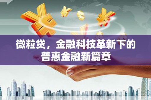 漳州微粒贷，金融科技革新下的普惠金融新篇章