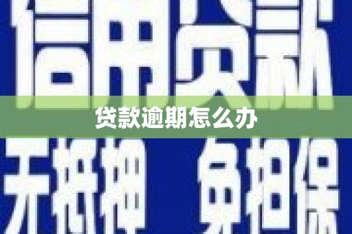 漳州贷款逾期怎么办
