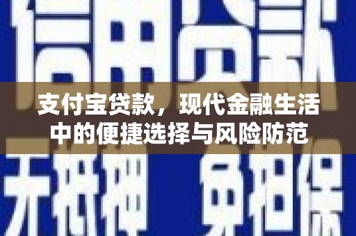 漳州支付宝贷款，现代金融生活中的便捷选择与风险防范