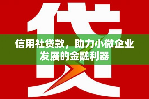 漳州信用社贷款，助力小微企业发展的金融利器