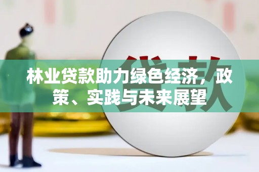 漳州林业贷款助力绿色经济，政策、实践与未来展望