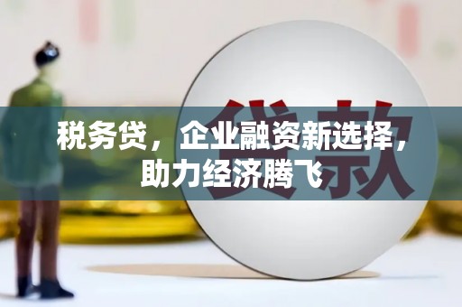 漳州税务贷，企业融资新选择，助力经济腾飞