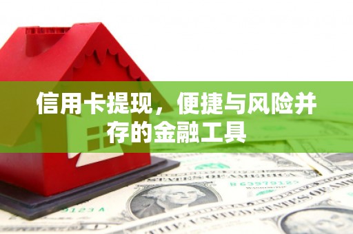 漳州信用卡提现，便捷与风险并存的金融工具