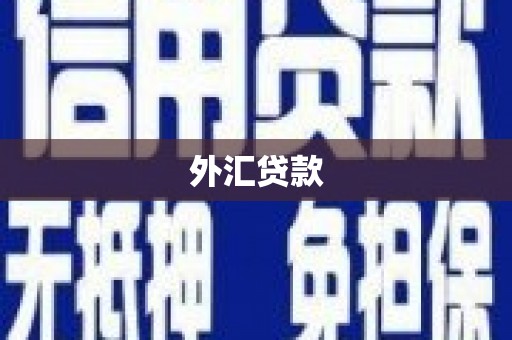 漳州外汇贷款