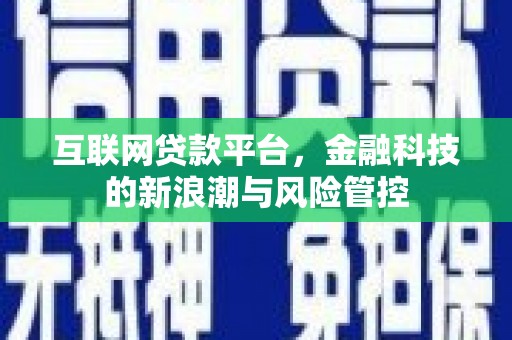 漳州互联网贷款平台，金融科技的新浪潮与风险管控