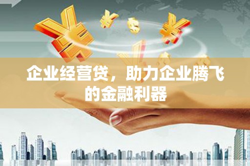 漳州企业经营贷，助力企业腾飞的金融利器