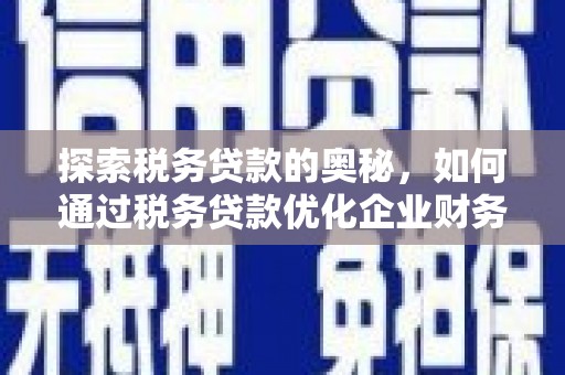 漳州探索税务贷款的奥秘，如何通过税务贷款优化企业财务