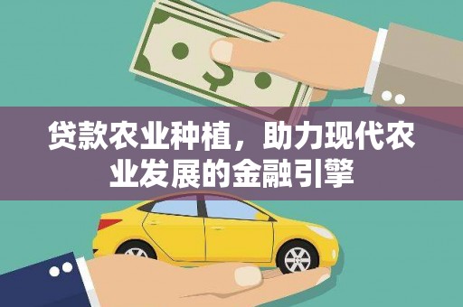 漳州贷款农业种植，助力现代农业发展的金融引擎