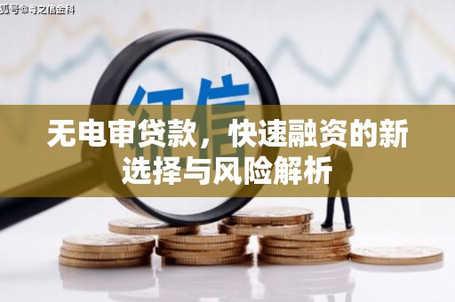 漳州无电审贷款，快速融资的新选择与风险解析