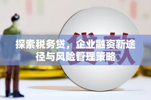 漳州探索税务贷，企业融资新途径与风险管理策略