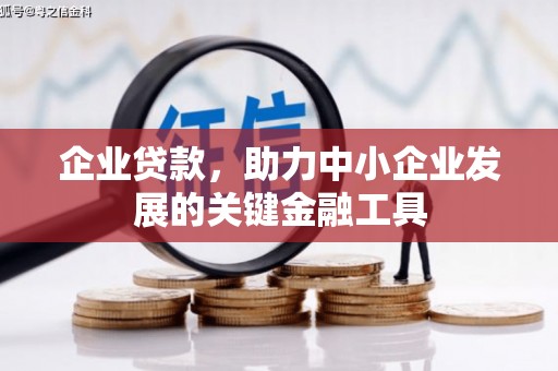 漳州企业贷款，助力中小企业发展的关键金融工具