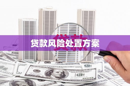 漳州贷款风险处置方案