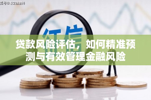漳州贷款风险评估，如何精准预测与有效管理金融风险