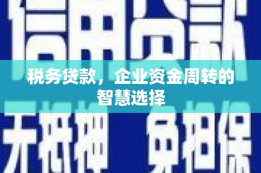 漳州税务贷款，企业资金周转的智慧选择
