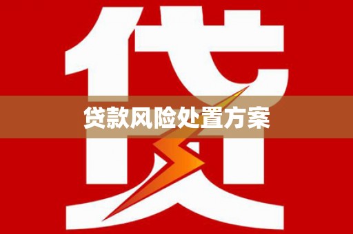 漳州贷款风险处置方案
