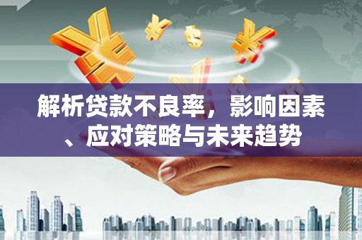漳州解析贷款不良率，影响因素、应对策略与未来趋势