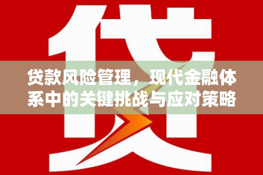 漳州贷款风险管理，现代金融体系中的关键挑战与应对策略