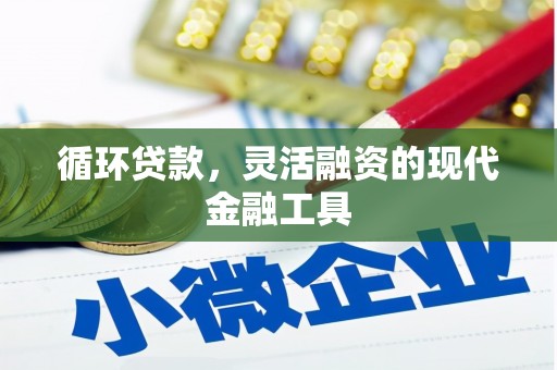 漳州循环贷款，灵活融资的现代金融工具