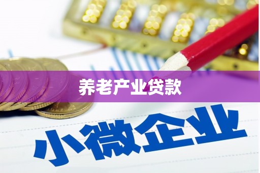 漳州养老产业贷款