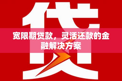 漳州宽限期贷款，灵活还款的金融解决方案