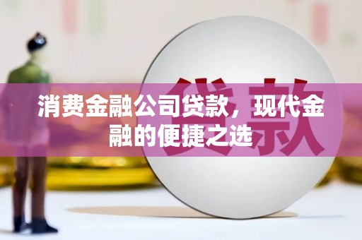 漳州消费金融公司贷款，现代金融的便捷之选