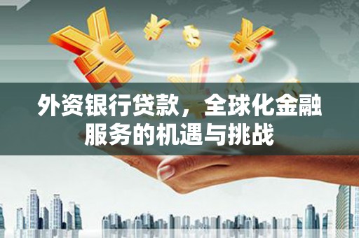 漳州外资银行贷款，全球化金融服务的机遇与挑战