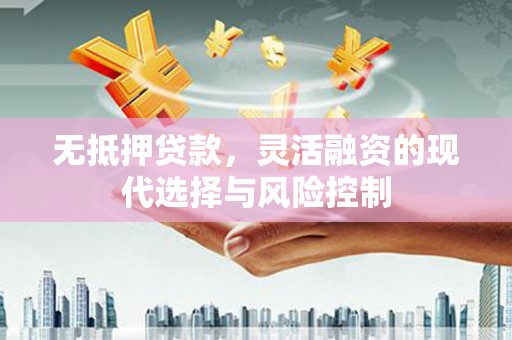 漳州无抵押贷款，灵活融资的现代选择与风险控制