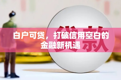 漳州白户可贷，打破信用空白的金融新机遇