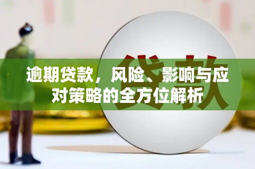 漳州逾期贷款，风险、影响与应对策略的全方位解析