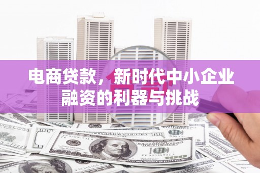 漳州电商贷款，新时代中小企业融资的利器与挑战