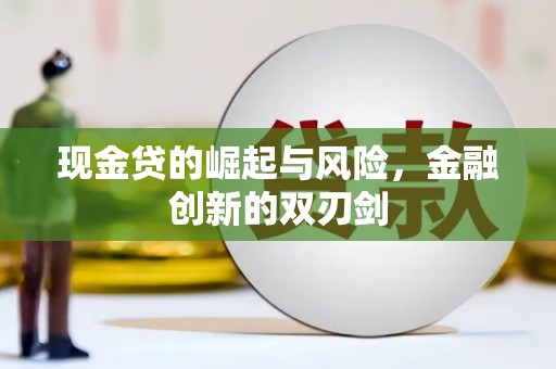 漳州现金贷的崛起与风险，金融创新的双刃剑