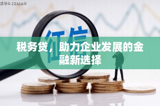 漳州税务贷，助力企业发展的金融新选择