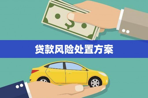 漳州贷款风险处置方案