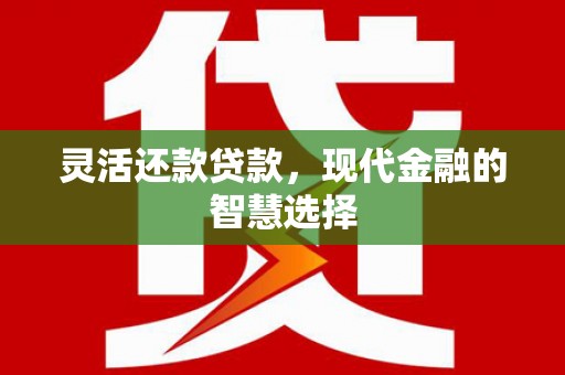 漳州灵活还款贷款，现代金融的智慧选择