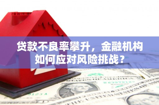 漳州贷款不良率攀升，金融机构如何应对风险挑战？