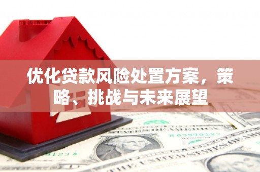 漳州优化贷款风险处置方案，策略、挑战与未来展望