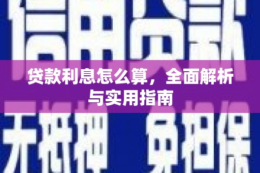 漳州贷款利息怎么算，全面解析与实用指南