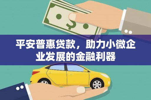 漳州平安普惠贷款，助力小微企业发展的金融利器